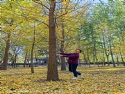 北京【Shirley】征婚交友