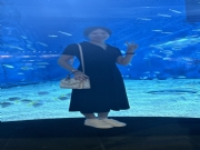 石家庄【薛女士】征婚交友