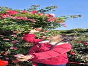 广州【狗狗】相亲